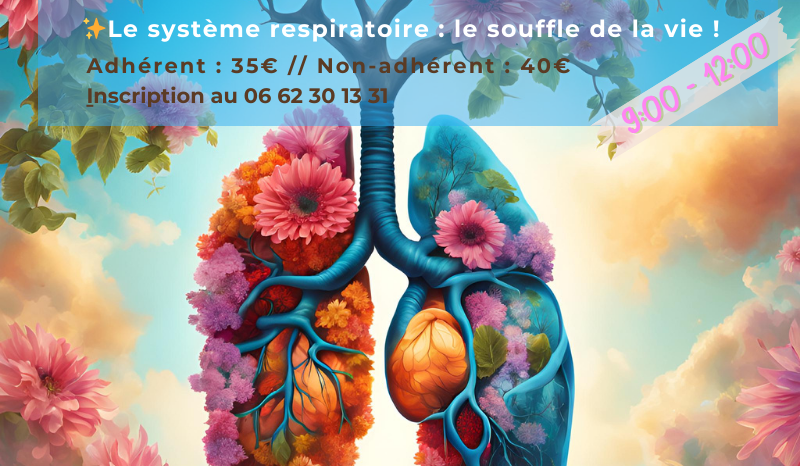 Atelier – Système respiratoire